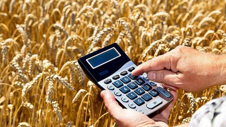 Минфин выделит 372 млн сомов на субсидирование процентных ставок для фермеров