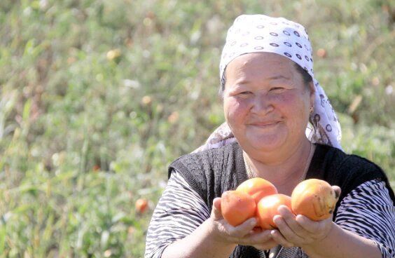 USAID выделит $15 млн на развитие сельхозпредприятий в южных регионах Кыргызстана
