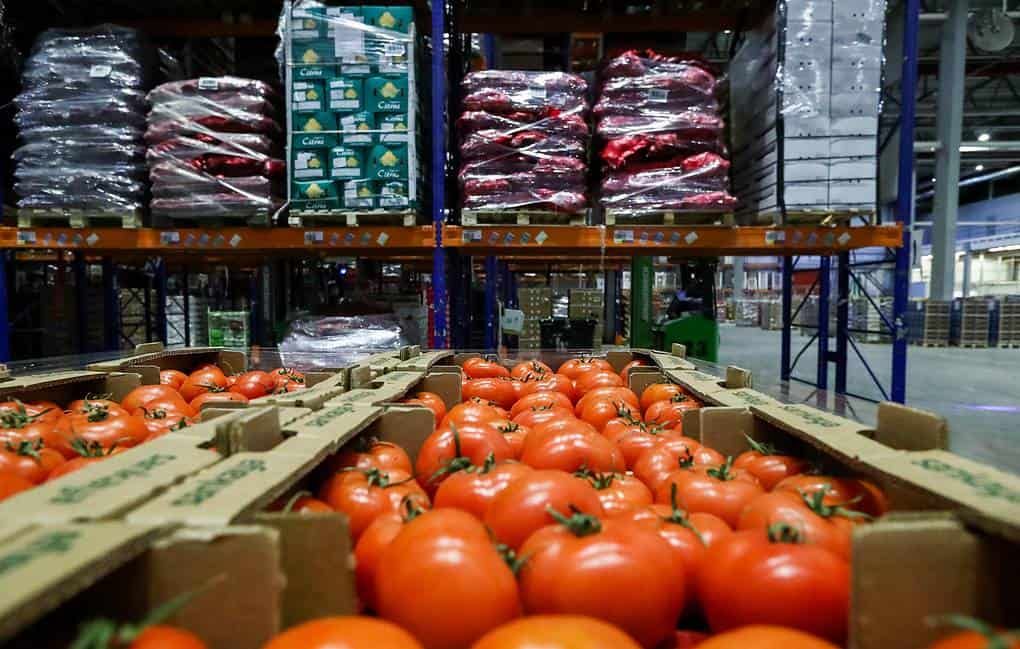 Кыргызстан перерабатывает только 17% сельхозпродукции — треть оставшихся продуктов портится