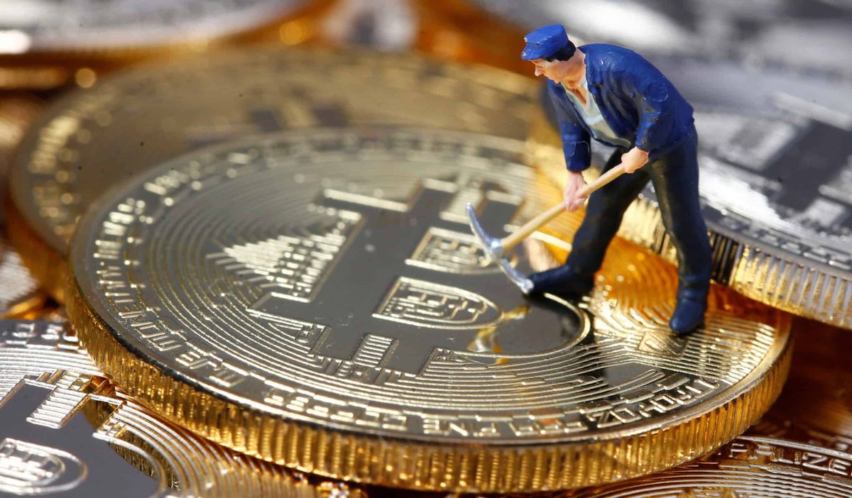 Более 52% криптоинвесторов имеют высшее образование – опрос