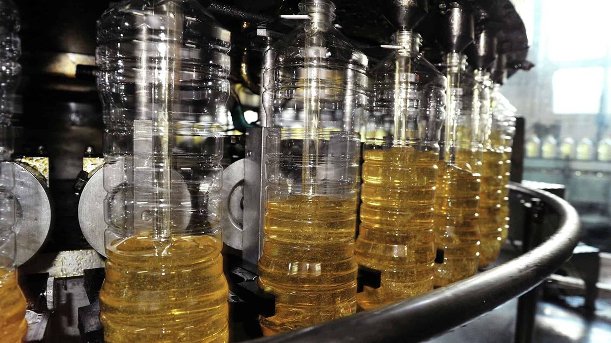 Фермеры призвали освободить сырье для производства растительного масла от уплаты НДС