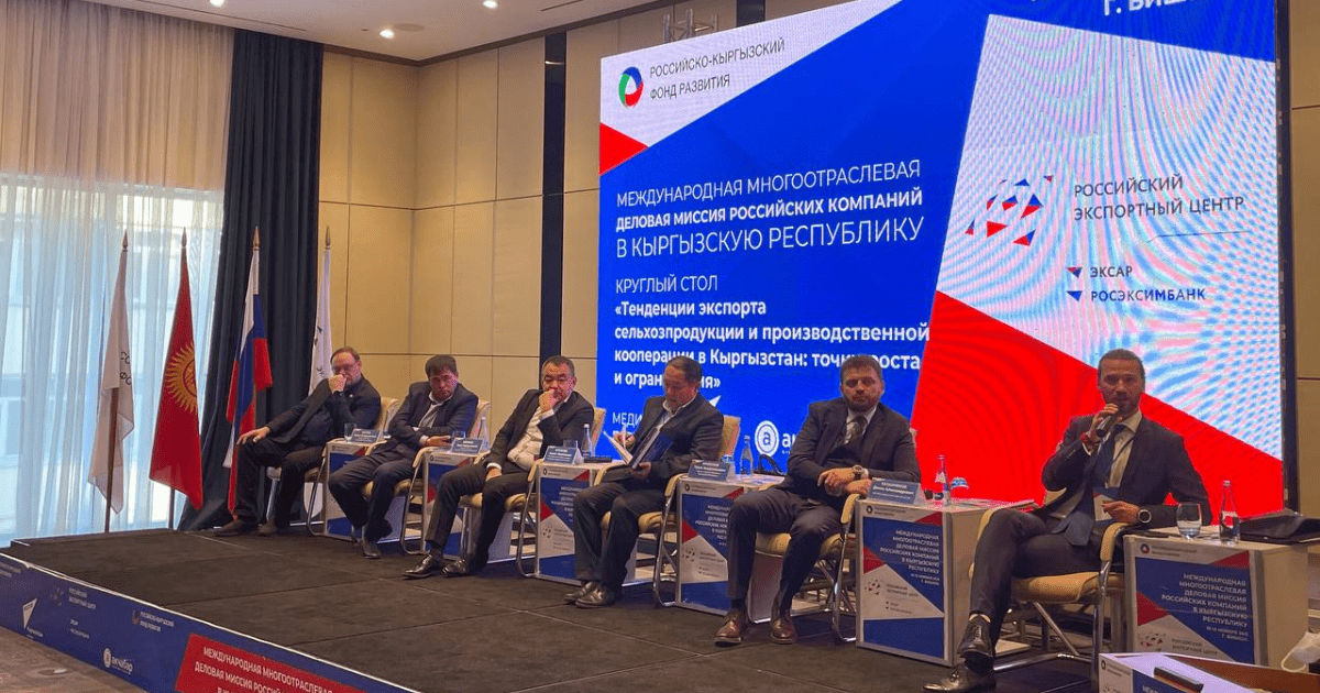 Экспорт товаров из Кыргызстана в Россию вырос до 20% за пять лет