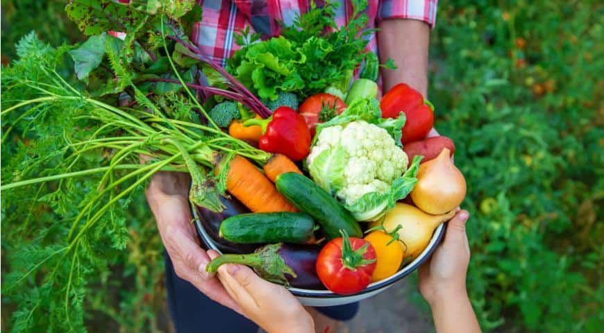 МИД обсудил с Европейской комиссией экспорт сельскохозяйственной продукции в ЕС