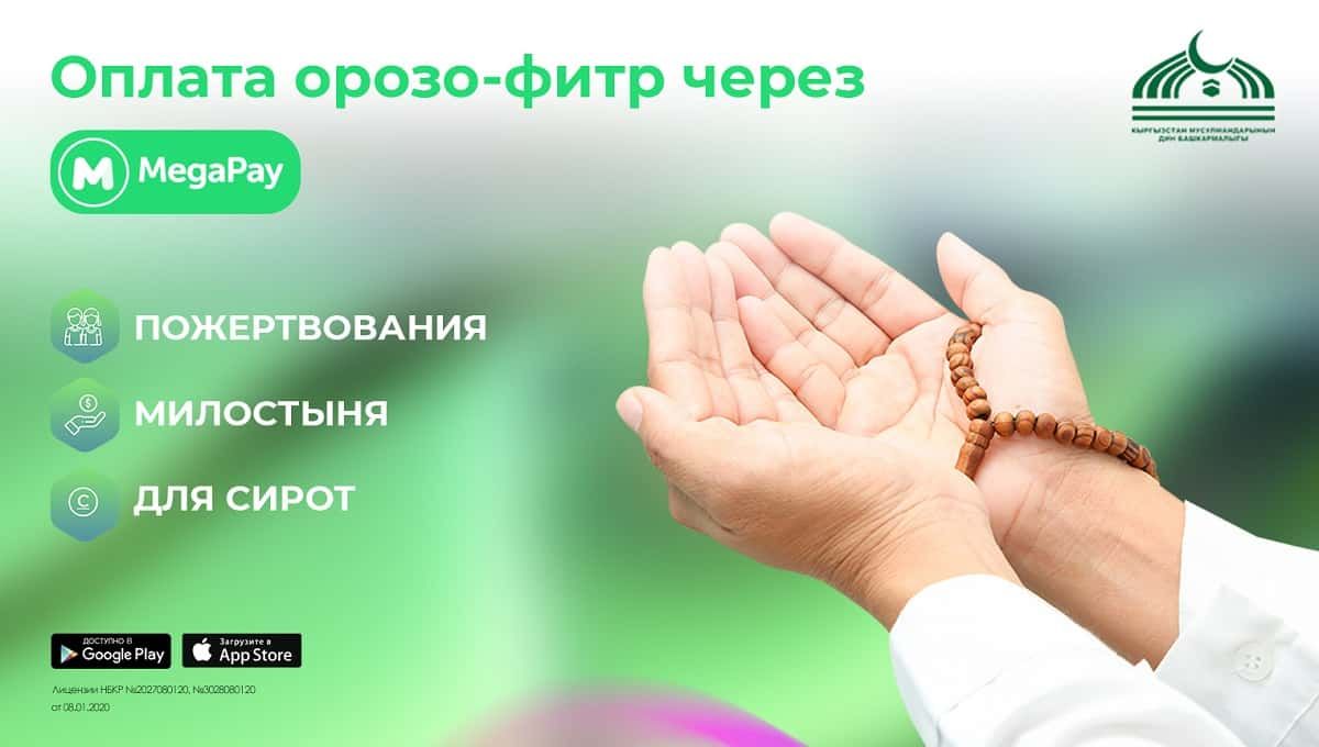 Оплачивайте орозо-фитр онлайн в приложении MegaPay