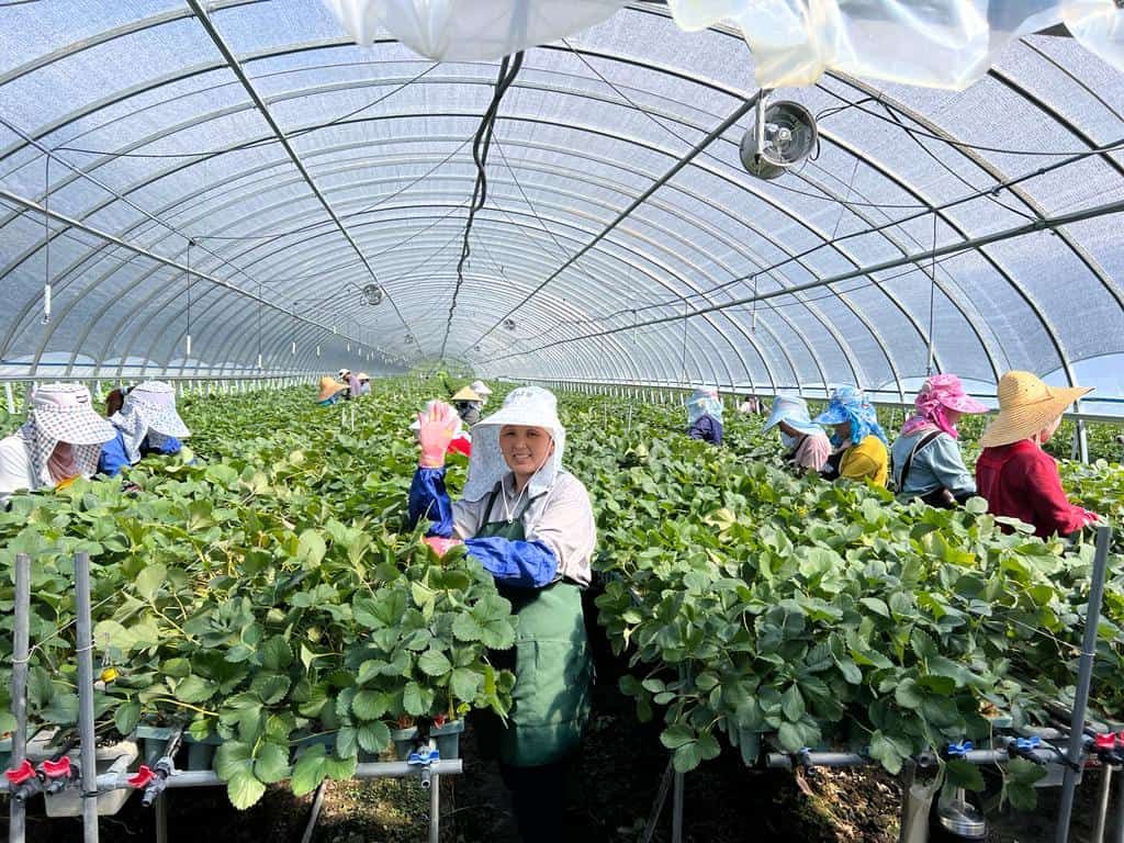 Более 400 трудовых контрактов в Корее получили кыргызстанцы в августе