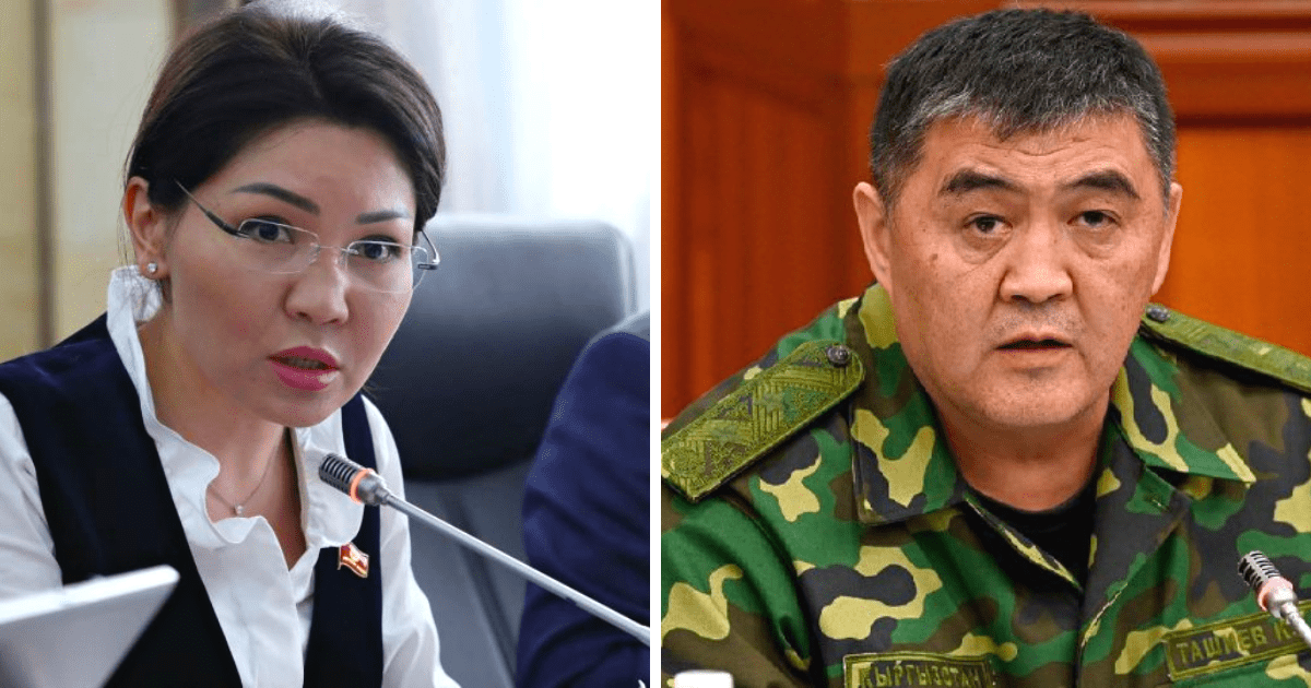 Депутат предложила провести зеркальные проверки ее семьи и семьи Ташиевых