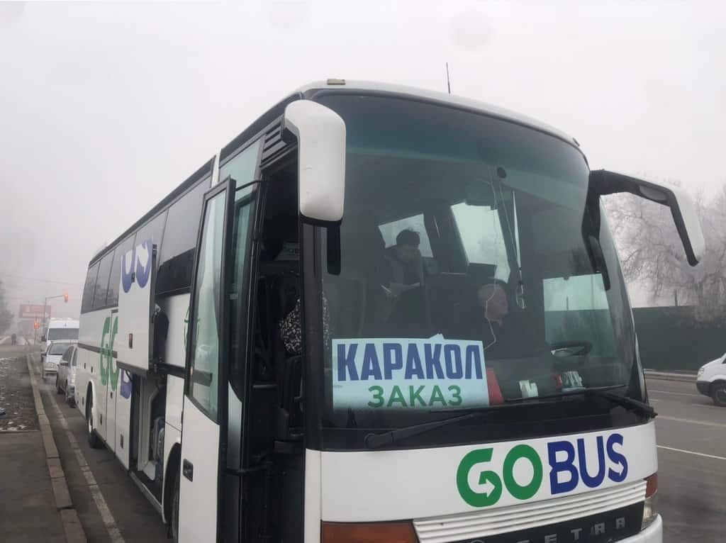 Автобусы Go Bus работают незаконно – другие перевозчики недовольны новым конкурентом