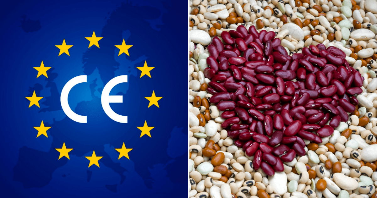 Таласские производители фасоли получили сертификат на поставку продукции в Евросоюз