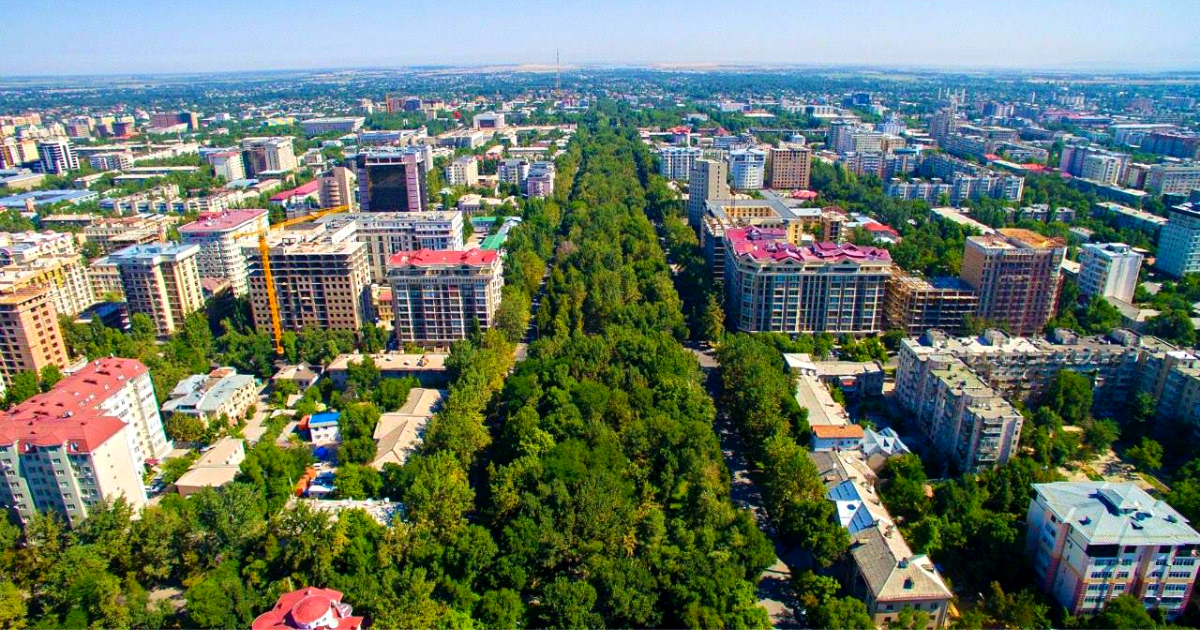 Владельцы зеленых техпаспортов могут получить льготы до 50% при уплате налога на имущество
