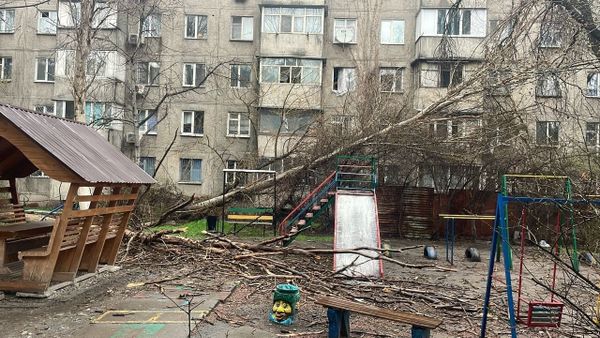 Последствия урагана в Чуйской области и Бишкеке: 10 пострадавших, 154 поврежденных объекта изображение публикации