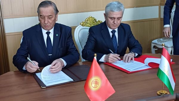 Кыргызстан и Таджикистан согласовали еще около 11 км границы изображение публикации