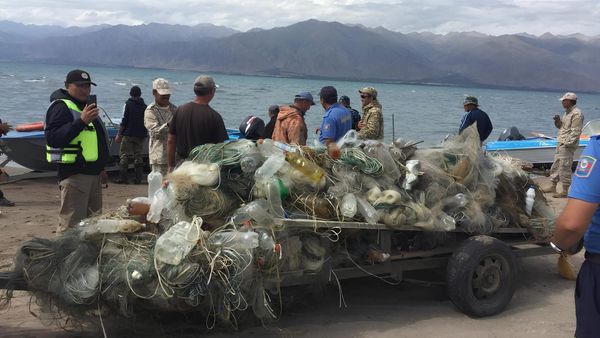 Из озера Иссык-Куль извлекли 22.5 тонны мусора и 218 тысяч метров рыболовных сетей изображение публикации