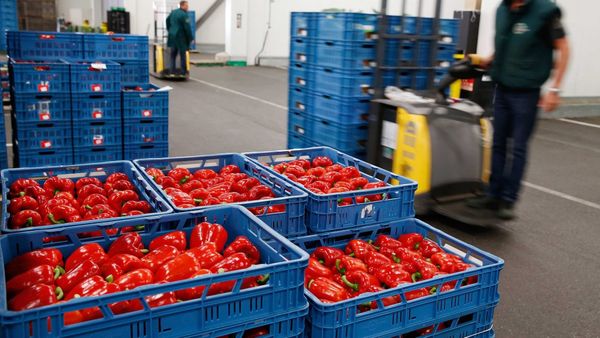 Министр экономики КР обозначил задачи недавно созданного центра «Кыргыз Экспорт» изображение публикации