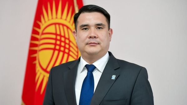 Алтынбек Маматов назначен главой управления по контролю за землепользованием мэрии Бишкека изображение публикации