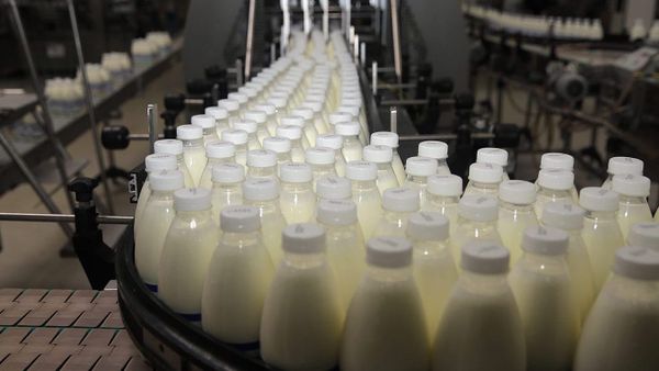 Производители молока в КР обеспокоены постановлением о регулировании закупочных цен изображение публикации