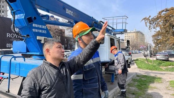 Где в Бишкеке отключат свет 15 апреля – список районов изображение публикации