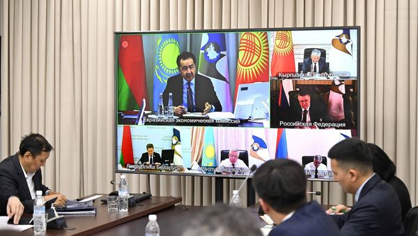 ЕЭК согласовала несколько шагов для стимулирования экономики стран ЕАЭС изображение публикации