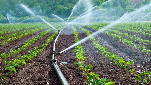 В КР на орошение направили на 81.1 млн м³ воды меньше, чем в прошлом году изображение публикации