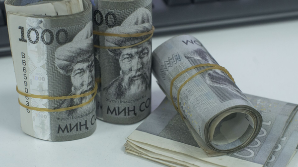 Сом просел ко всем основным валютам – курс НБКР на 14 июня изображение публикации