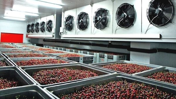 Установленные на юге КР холодильные склады на 40% уменьшили порчу продуктов изображение публикации