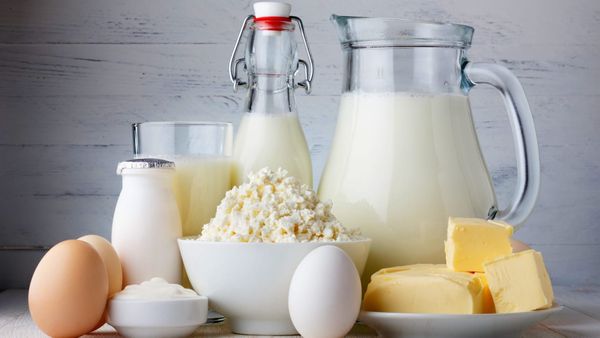 «Белая река» будет поставлять молочную продукцию в Узбекистан изображение публикации