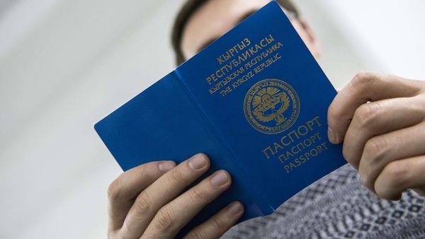 Заявление на получение паспорта можно будет оформить онлайн изображение публикации