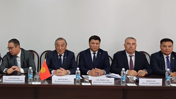 Кыргызстан и Таджикистан обсудили описание оставшихся участков госграницы изображение публикации