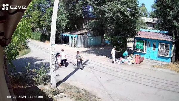 В Бишкеке выписали штрафы за выброс мусора на 39.5 тысячи сомов изображение публикации