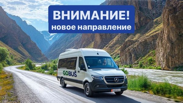 GoBus запускает рейсы по маршруту Бишкек – Нарын изображение публикации