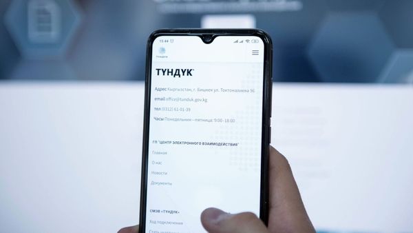В приложении «Тундук» теперь можно получить справку о зарегистрированных по адресу изображение публикации