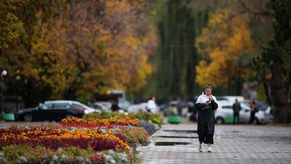 В Бишкеке утвердили новые правила благоустройства: что важно знать жителям и организациям изображение публикации