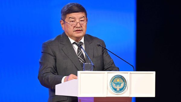 Глава кабмина перечислил основные достижения Кыргызстана в 2024 году изображение публикации