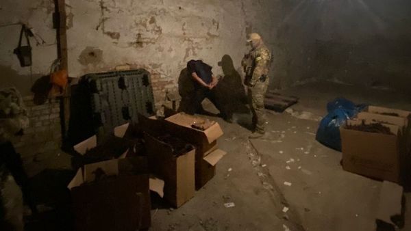 ГКНБ разоблачил группу сборщиков редкого растения – спецслужбы изъяли 1.3 тонны макротомии изображение публикации