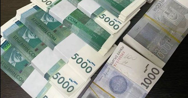 Компания «Теским» выплатила акционерам более 11.3 млн сомов дивидендов за 2024 год изображение публикации