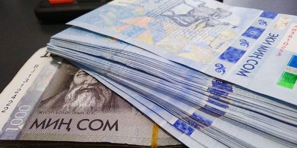На что кыргызстанцы брали микрокредиты в 2024 году? Цифры и цели изображение публикации