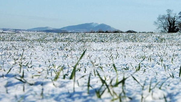 В КР засеяли 141.7 тысячи га озимых зерновых культур на урожай следующего года изображение публикации