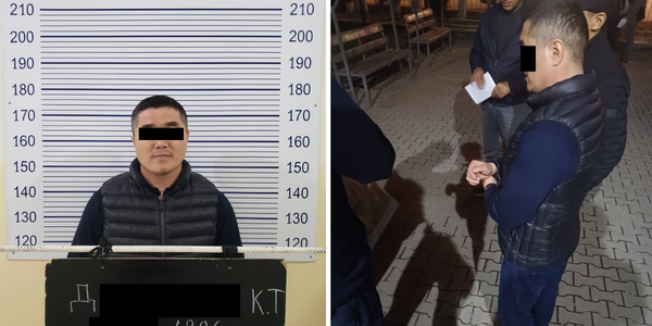 Экс-сотрудник МЧС обещал «решить вопрос» за $14 тысяч и квартиру — он задержан изображение публикации