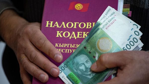 «Чаще подвергается проверкам»: МДС – о слишком большой налоговой нагрузке на бизнес в Кыргызстане изображение публикации