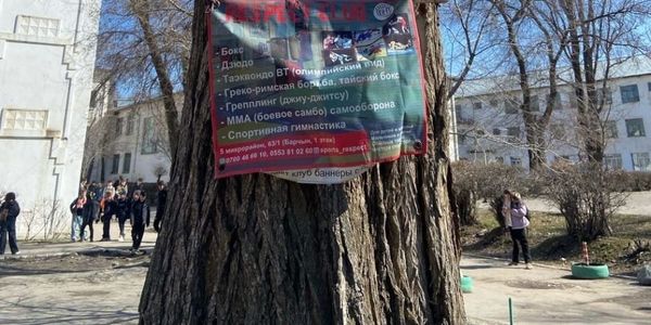 В Бишкеке за незаконную рекламу оштрафовали более чем на 270 тысяч сомов изображение публикации