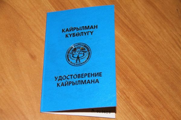 Более тысячи этнических кыргызов получили статус «Кайрылман» в 2024 году изображение публикации