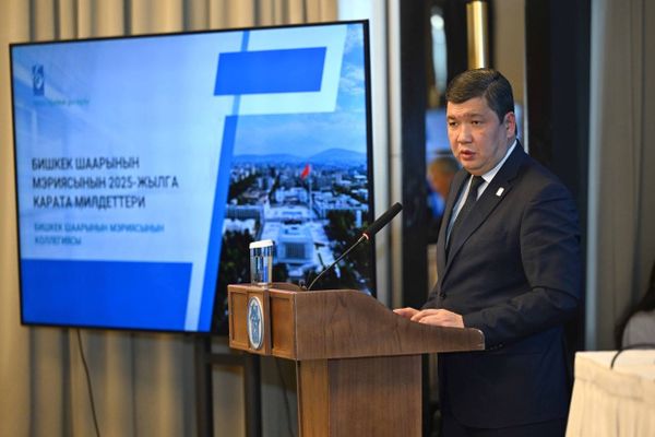 Полномочия районных администраций Бишкека усилят в связи с расширением территории города изображение публикации