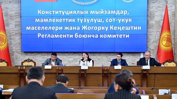 Комитет ЖК одобрил новый закон о выборах депутатов парламента в первом чтении изображение публикации