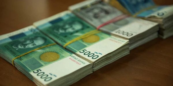 На поддержку сельского хозяйства по проекту «ФСХ-13» выдано кредитов на 1.6 млрд сомов изображение публикации