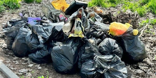 В Бишкеке по итогам субботника собрали и вывезли более 265 тонн мусора изображение публикации