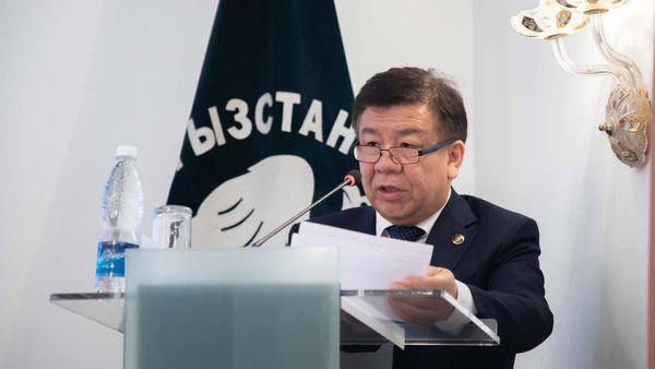 Цифровизация и уважение к бизнесу: глава ГНС назвал приоритеты налоговой реформы изображение публикации