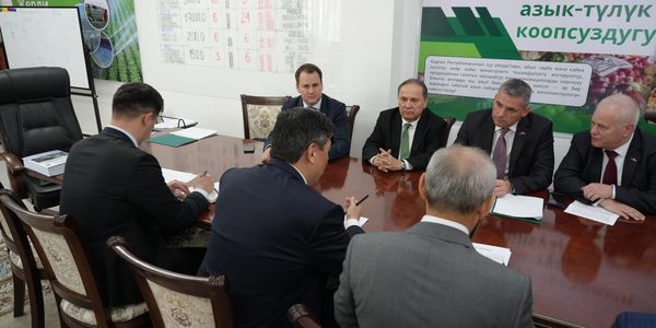 Кыргызстан и Венгрия обсудили экспорт семян и подготовку агроспециалистов изображение публикации