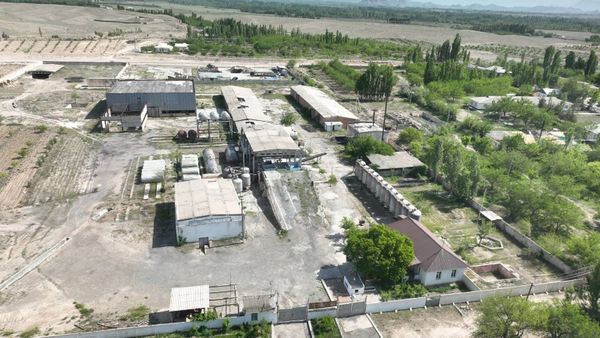 На баланс государства возвращен вино-водочный завод в Баткенской области изображение публикации