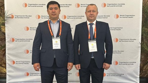 Кыргызстан укрепляет ветеринарное сотрудничество с Беларусью и Литвой изображение публикации