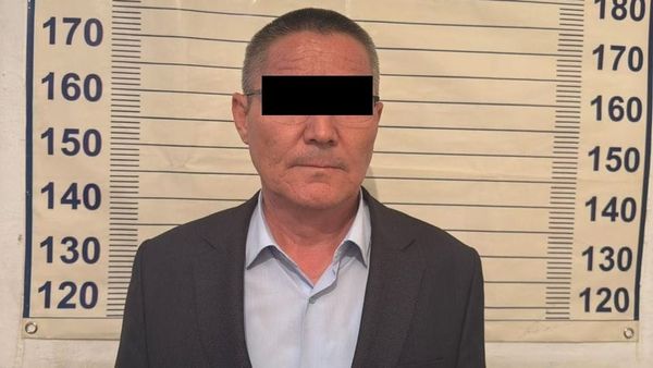 Задержан глава Кара-Суйского агродепартамента — его подозревают в мошенничестве на $11.7 тысячи изображение публикации