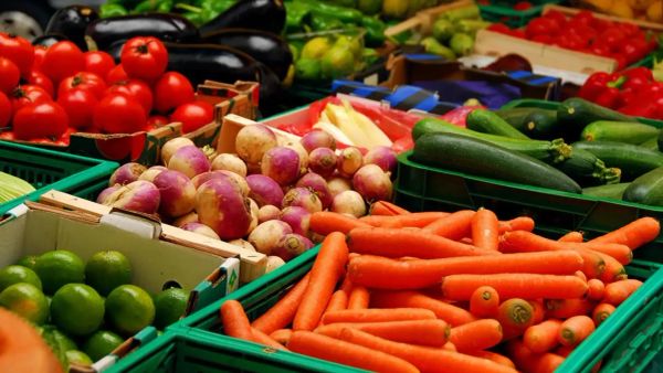 Как экспортерам сельхозпродукции избежать задержки поставок? Ответ Департамента химизации изображение публикации